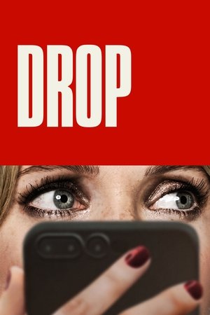 Drop (2025) WEBRIP Hindi (MULTI AUDIO) 720p – 480p – 1080p
